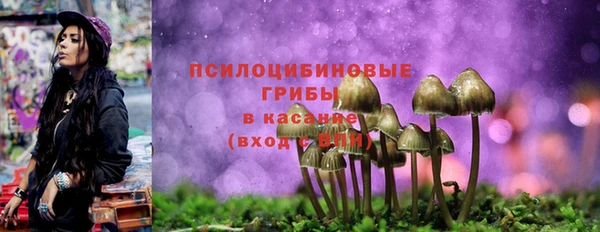 а пвп мука Бородино
