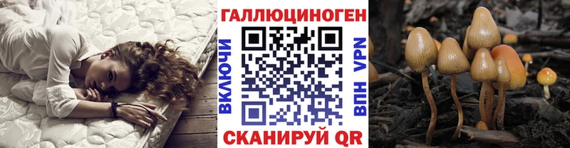 Псилоцибиновые грибы мухоморы Чегем